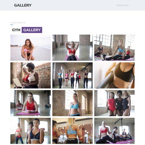 Webdesign for Lifestyle Gym - gallery